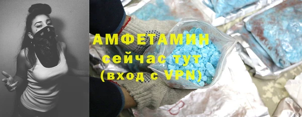 ГАЛЛЮЦИНОГЕННЫЕ ГРИБЫ Инта