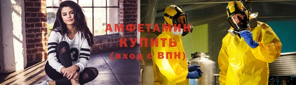 ПСИЛОЦИБИНОВЫЕ ГРИБЫ Иннополис