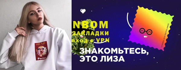 ГАЛЛЮЦИНОГЕННЫЕ ГРИБЫ Инта