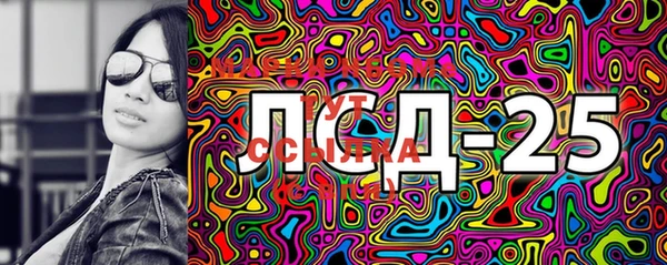ГАЛЛЮЦИНОГЕННЫЕ ГРИБЫ Инта