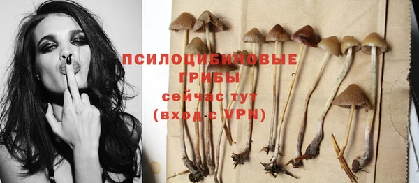 ГАЛЛЮЦИНОГЕННЫЕ ГРИБЫ Инта