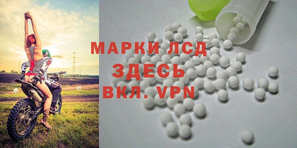 ПСИЛОЦИБИНОВЫЕ ГРИБЫ Иннополис