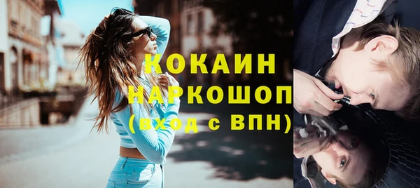 ГАЛЛЮЦИНОГЕННЫЕ ГРИБЫ Инта