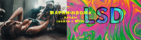 ПСИЛОЦИБИНОВЫЕ ГРИБЫ Иннополис